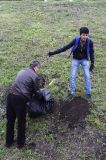 Изображение галереи 